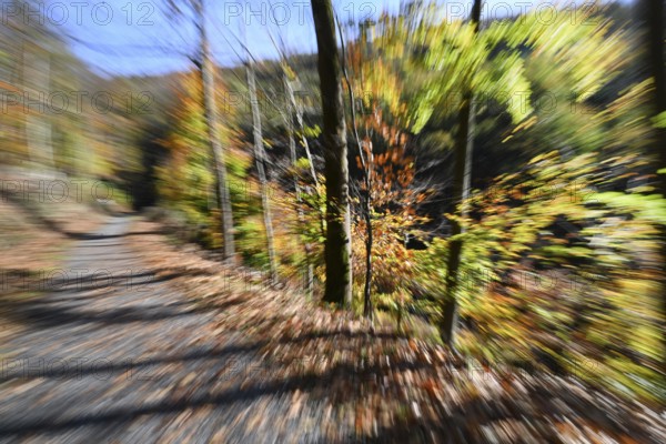 DEU, Germany, Iserlohn: The autumn colours enchant the forest in the Sauerland and also the people in the Märkischer Kreis. The creative photographer does the rest, Europe