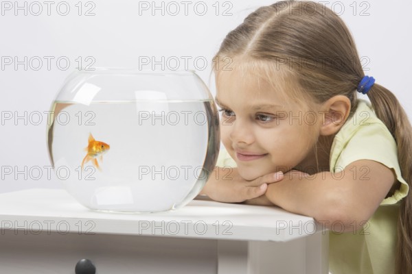 Six year old girl put her head on the handle and looks at a goldfish in an aquarium