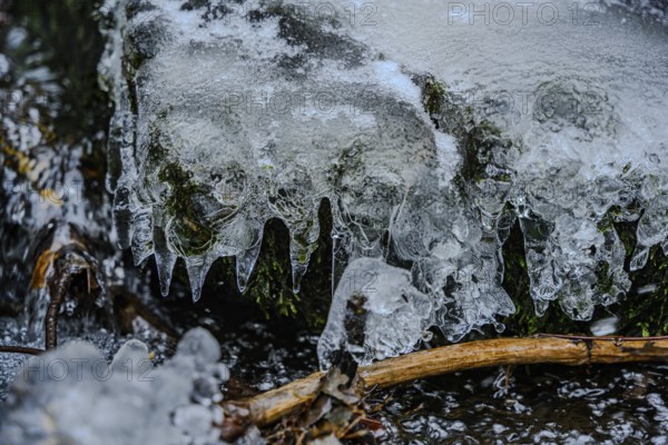 Close-up of icicles on moss-covered stones, The icy waterfall in the Perlbach valley near Bogen, Lower Bavaria