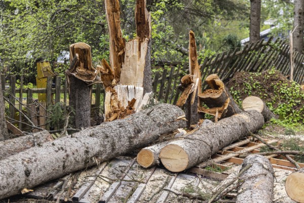 Devastation in a small village after a powerful storm with hurricane strength winds bring down trees and destroy fences. Copy space on both sides