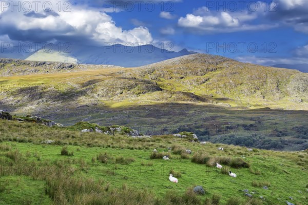 Mountain Landscape in Ring of Kerry, Ireland, Europe