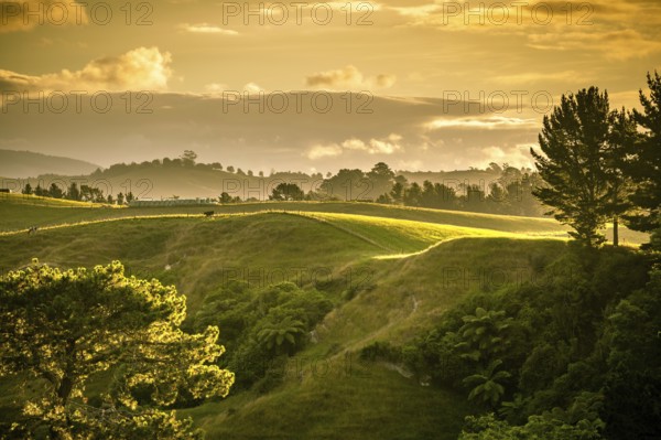 An image of a sunset landscape New Zealand north island