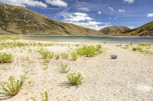 An image of a landscape scenery in south New Zealand