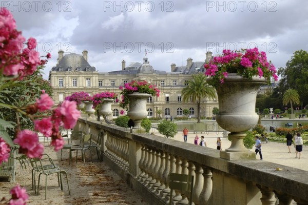 In the Jardin du Luxembourg: Raised terrace with stone balustrade and planted amphorae, well-tended parkland, the Palais du Luxembourg in the background. Landscape format. In Jardin du Luxembourg: elevated terrace with stone balustrade and planted amphorae, well-tended parkland, the Palais du Luxembourg in the background. Horizontal format
