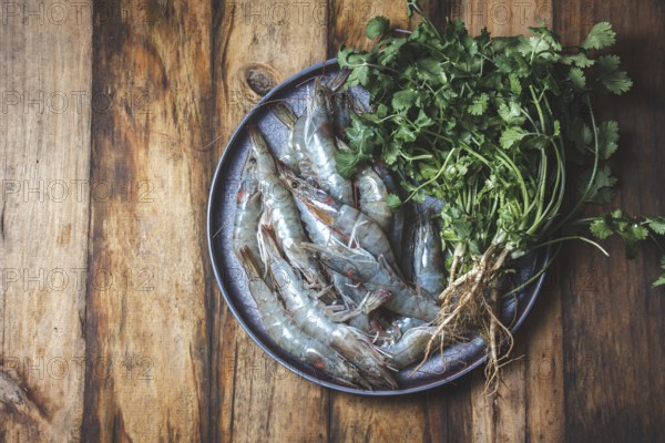 Food, Food, Raw seafood. Fresh shrimps with cilantro gray plate. Wooden backround