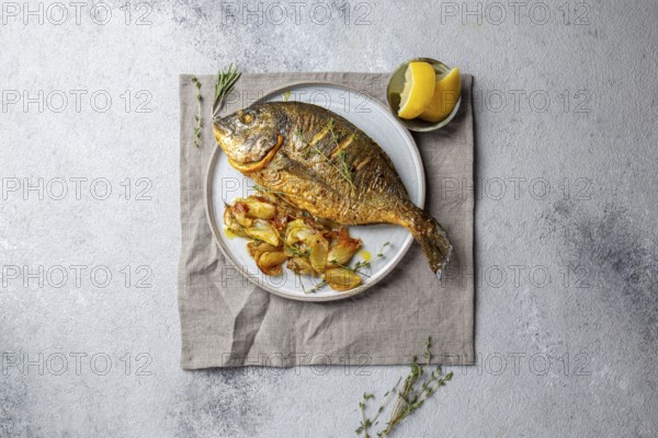Food, Grilled sea bream or dorada on gray plate. Gray background