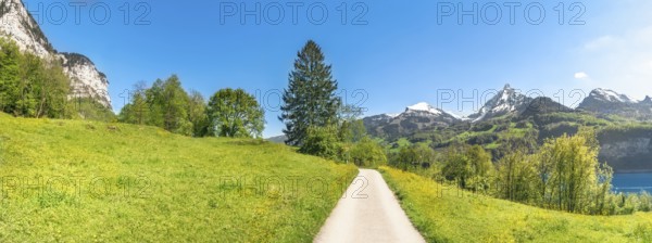 Alpine alley crossing green meadows, in the Alps mountains, on a sunny day of spring, in the canton of St. Gallen, Switzerland, above Lake Walensee, Europe