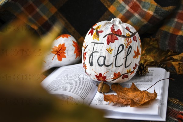 Beautiful painted autumn pumpkins. FALL writing on pumpkin. Autumn harvest. DIY. Autumn leaves season sweater cozy, hygge home decoration. Book