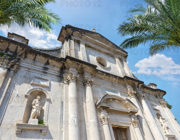Palm trees near Ancient church in Prcanj, Montenegro, Europe
