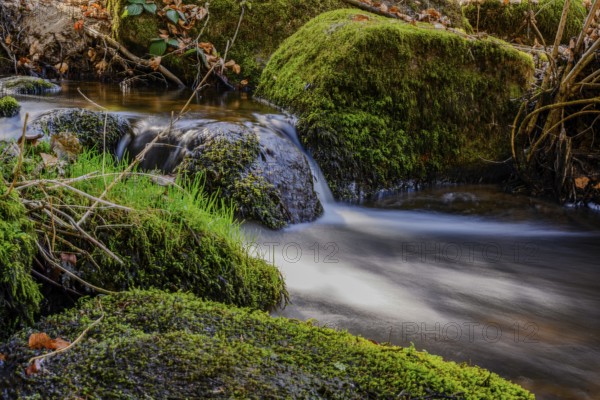 A clear stream flows over moss-covered stones, forms small waterfalls and surrounds itself with green nature, Höllbachtal, Upper Palatinate