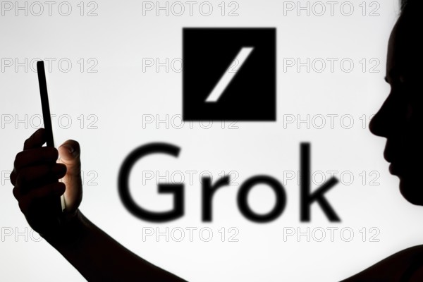 Grok is an artificial intelligence chatbot associated with the social network X, created by Elon Musk
