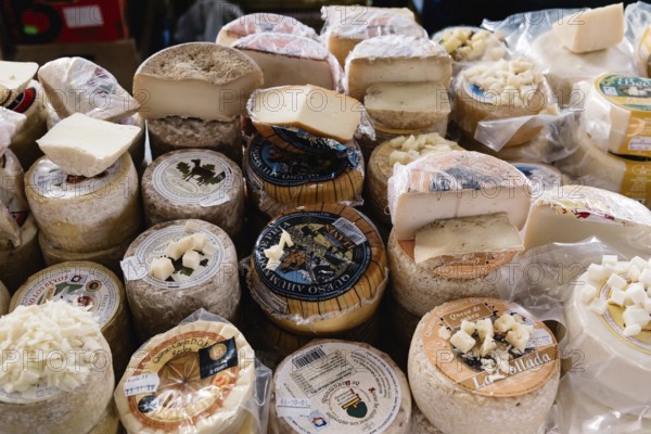 Cangas de Onis, Spain, March 31, 2019: Assortment of traditional asturian cheeses ready to taste in food market, Europe