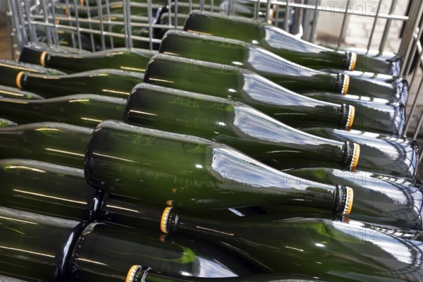 Stored bottles with crown caps