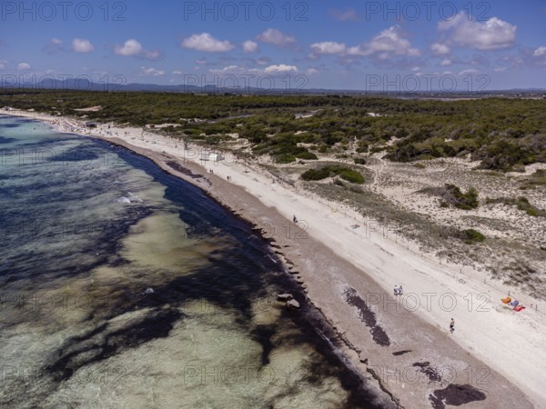 Es Trenc beach, Campos municipality, Mallorca, Balearic Islands, Spain, Europe