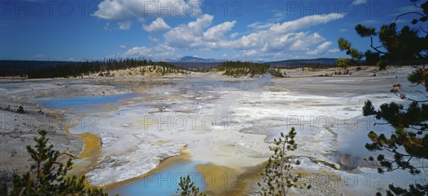 Yellowstone National Park, Norris Geyser Basin, Wyoming, USA, North America
