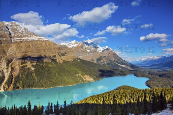 Turquoise water and the shape of lake in form of a wolf's head are popular with tourists. Picturesque Lake Peyto in Banff National Park