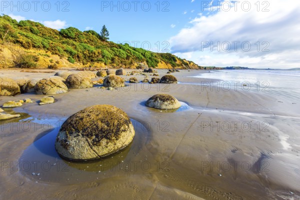 The South Island of New Zealand. Sandy beach on the Pacific Ocean. Moeraki boulders is a group of huge stones and their remains. The concept of exotic and ecological tourism