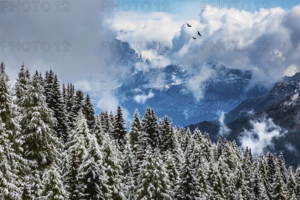 Magnificent landscape of Dolomites in the snow. Evergreen forests in the valley covered with the first snow. Fluffy clouds flying over mountains