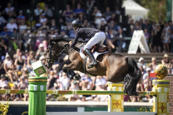 Steve Guerdat of Switzerland and riding Venard de Cerisy compete in the first round of the 1.60m CPKC International during the Spruce Meadows Masters, presented by Rolex, in Calgary, Alberta, Canada, North America