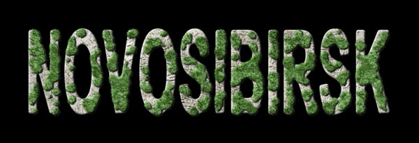 Novosibirsk Reforestation and Biophilia, Novosibirsk Green Typography