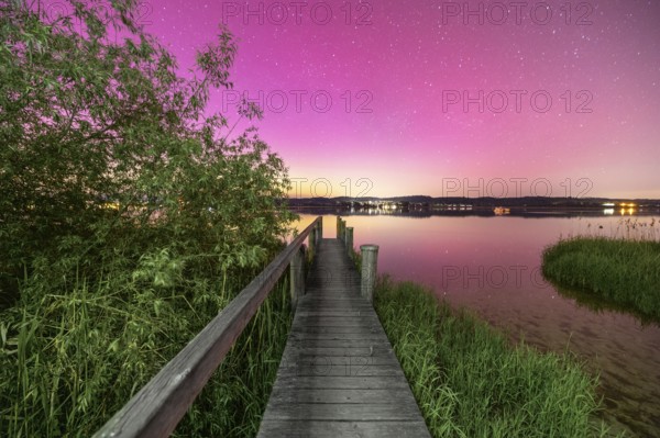 Wooden footbridge with neighbouring reed trees under a sky with aurora borealis, Reichenau, Lake Constance, Baden-Württemberg, Germany, Europe