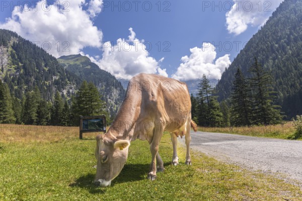 Impressions from Mallnitz Hohe Tauern National Park Seebachtal