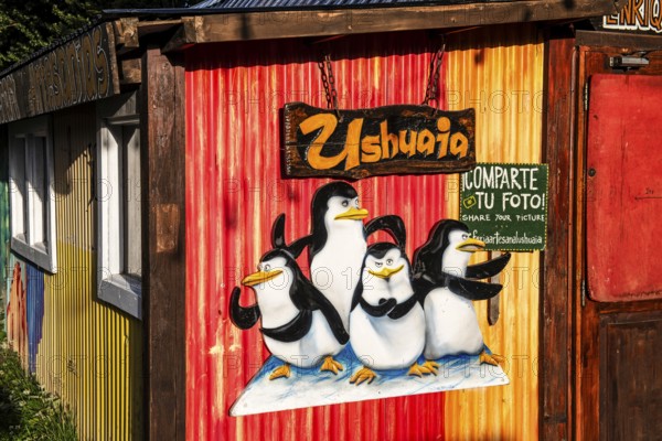 Photo background with penguins, Ushuaia, Argentina, South America