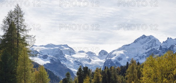 Amazing landscape in the Swiss Bernina mountains. A colourful autumnal forest in front of the highest peaks of the Bernina massive