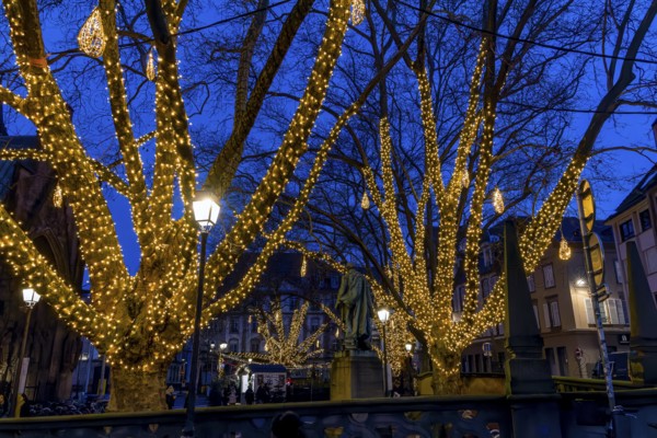 Evening atmosphere, Christmas decorated with Christmas lights trees on the Christmas market, Strasbourg, Alsace, Département Bas-Rhin, France, Europe