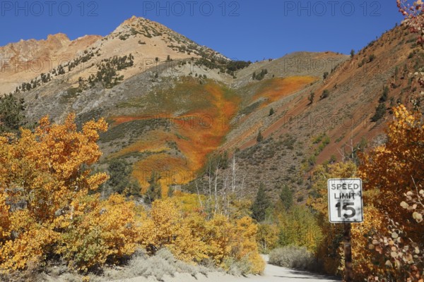 A dirt road in the Orange Mountains. A road sign speed limits Speed Limit 15