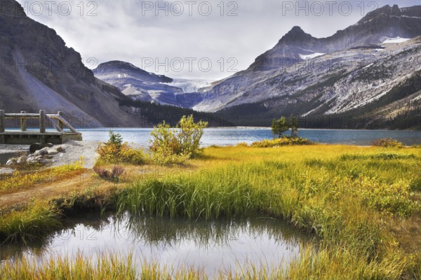 Overgrown a yellow grass shallow lake in rocky mountains