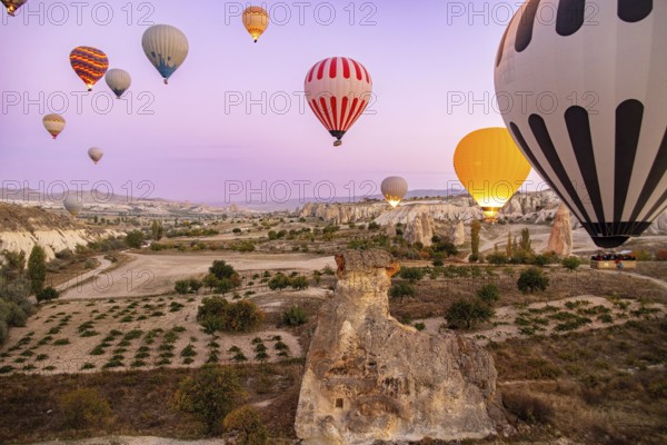 Hot air balloons in Cappadocia, Turkey, Asia