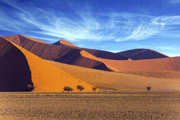 The Namib-Naukluft park at sunset. Sharp border of light and shadow over the crest of the dune. The concept of extreme and exotic tourism