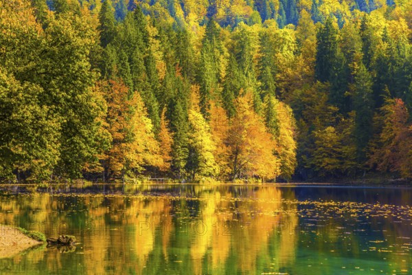 Flood after rain. The quiet lake Lago de Fusine. Fantastically beautiful autumn forests are reflected in the water. Concept of cultural and ecological tourism