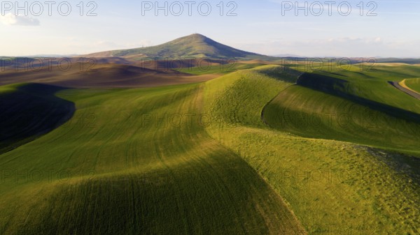 Steptoe Butte State Park is up there somewhere on top of the bluff surrounded by Palouse Country farmland