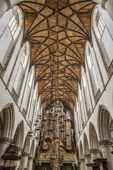 Haarlem, Netherlands, August 3, 2016: Low angle view of the interior of the Cathedral of Haarlem. The Grote Kerk is a Protestant church and former Catholic cathedral located on the central market square
