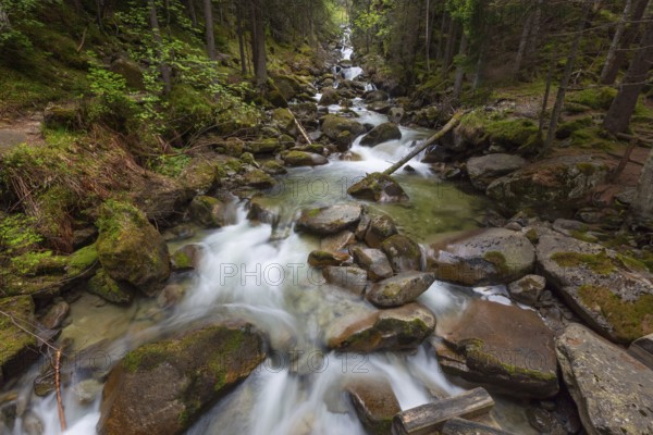 Forest stream in Alps mountains at spring, long exposure