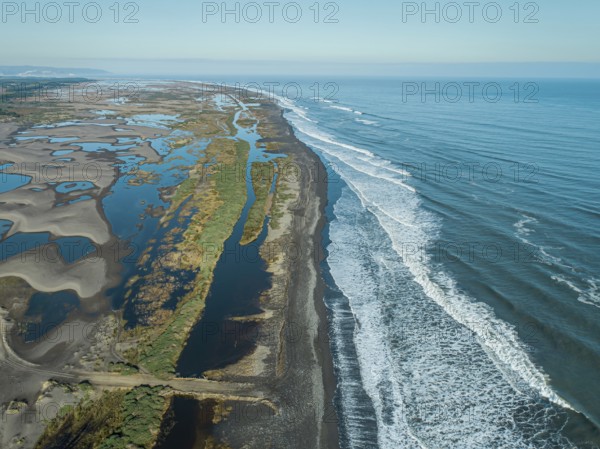 Whetland nea ocean in seventh region Maule in Chile