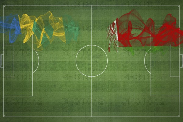 Saint Vincent and the Grenadines vs Belarus Soccer Match, national colors, national flags, soccer field, football game, Competition concept, Copy space