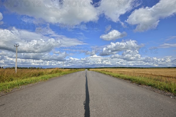 Prospect of the highway and rye fields on the sidelines. Sunny day