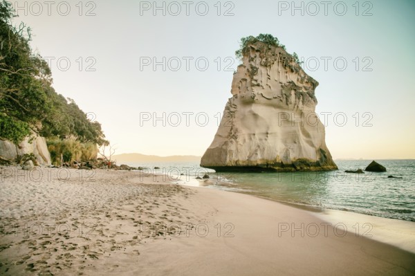 Amazing Te Hoho Rock at sunset, Cathedral Cove Marine Reserve, Coromandel Peninsula, New Zealand, Oceania