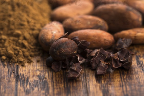 Cacao beans and cacao powder in spoon