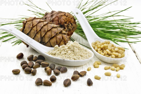 Cedar flour and peeled nuts in two spoons, two cones, a green cedar branch on a wooden board background