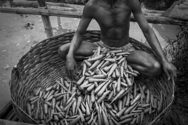 Man selling carrots, Rajarhat, West Bengal, India, Asia