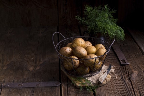 A fresh and tasty new small potatoes