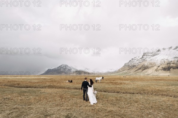 Wedding couple in after with horses. The groom hugs the bride. Destination Iceland wedding photo session with Icelandic horses