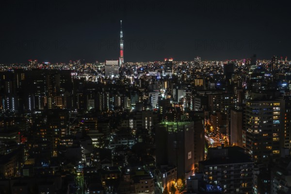 Sky tree visible from the Bunkyo Civic Center. Shooting Location: Tokyo metropolitan area