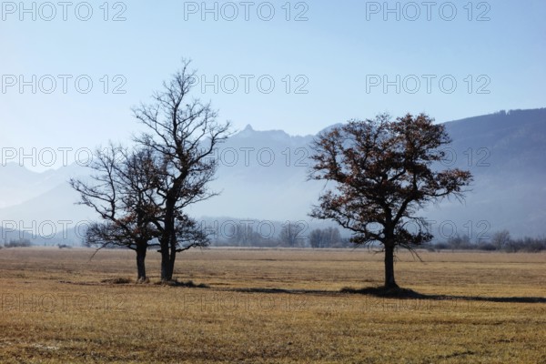Murnau moos moor bavaria blue land pfaffenwinkel germany landscape nature reserve hiking recreation möräne endmöräne alps nature reserve nature conservation