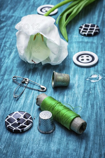 One white tulip and buttons with threads on turquoise wooden background