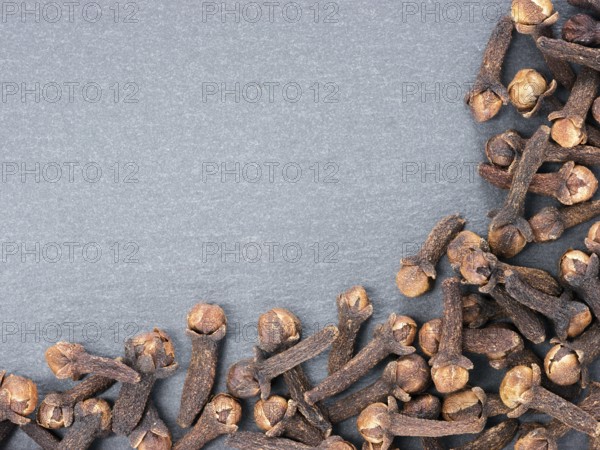 Cloves spice on gray slate background with copy space. Isolated one edge. Top view or flat lay
